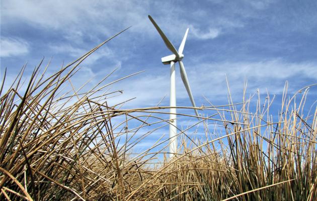 wind turbine in field