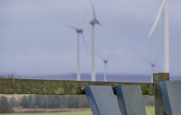 Bladeboards leaning against a fence